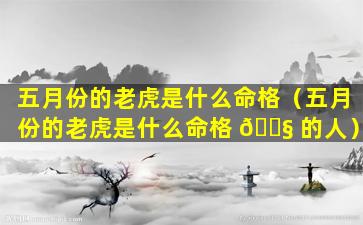 五月份的老虎是什么命格（五月份的老虎是什么命格 🐧 的人）